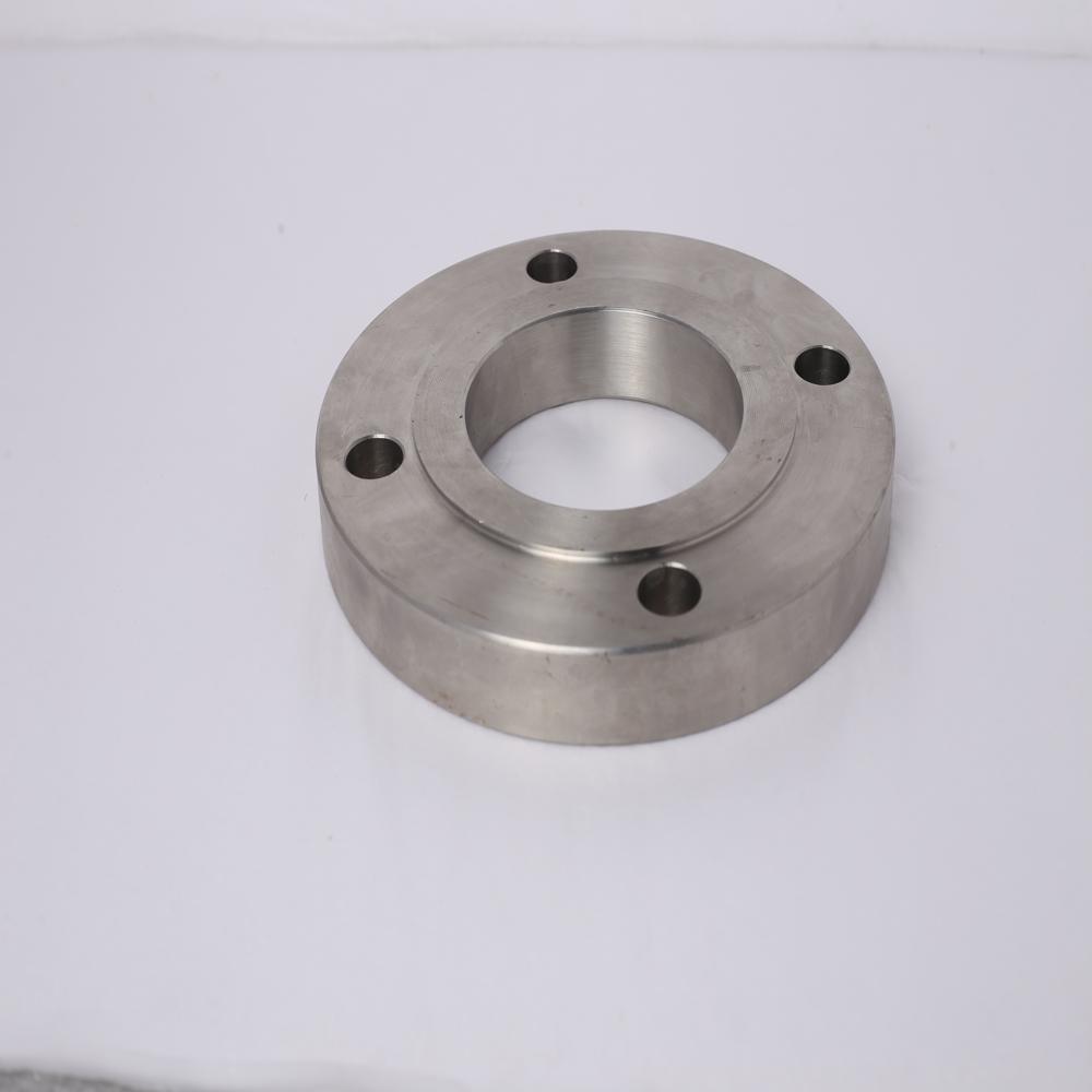 SS 304 Flanges