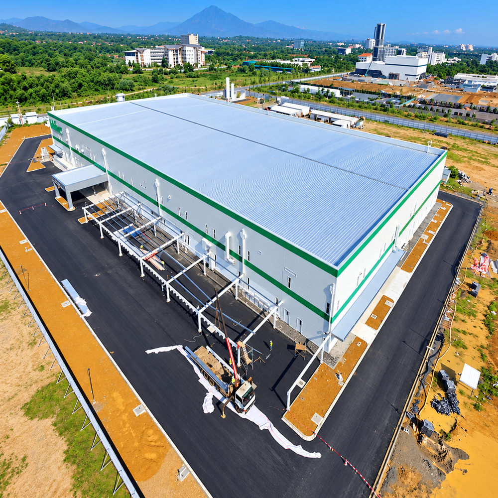 Custom Steel Building Structures