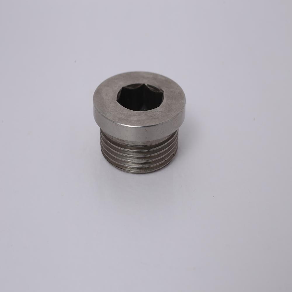 SS 316 allen plug