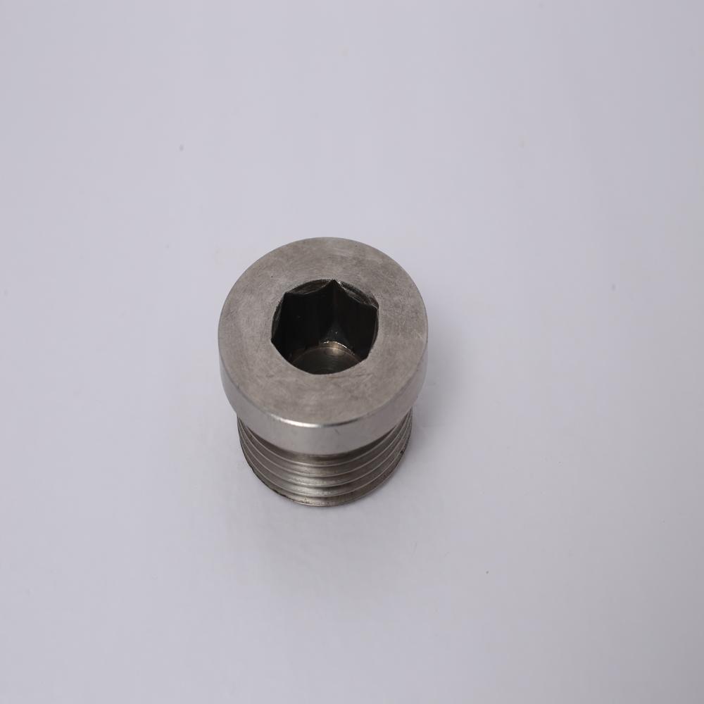 Stainless steel  allen plug