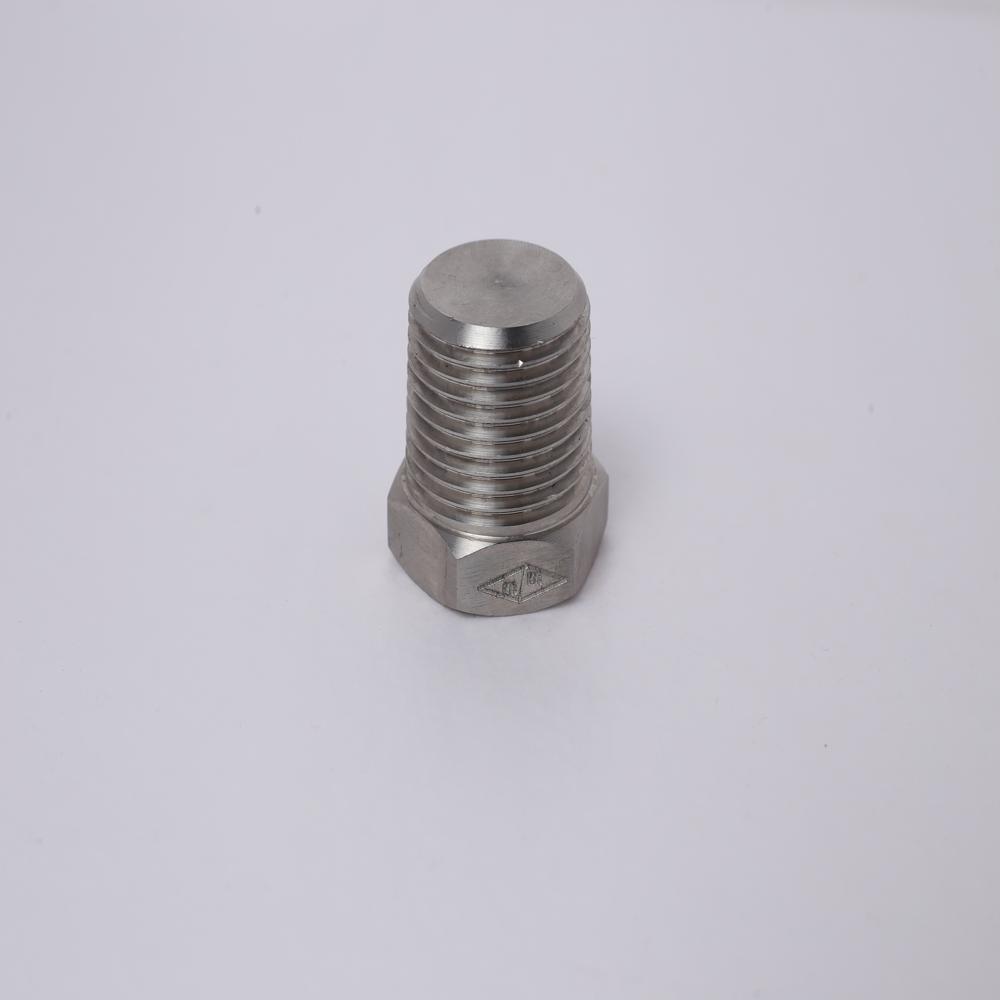 SS 304 Plug