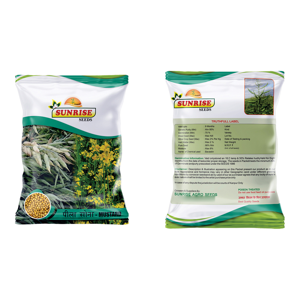 Yellow Mustard Seeds