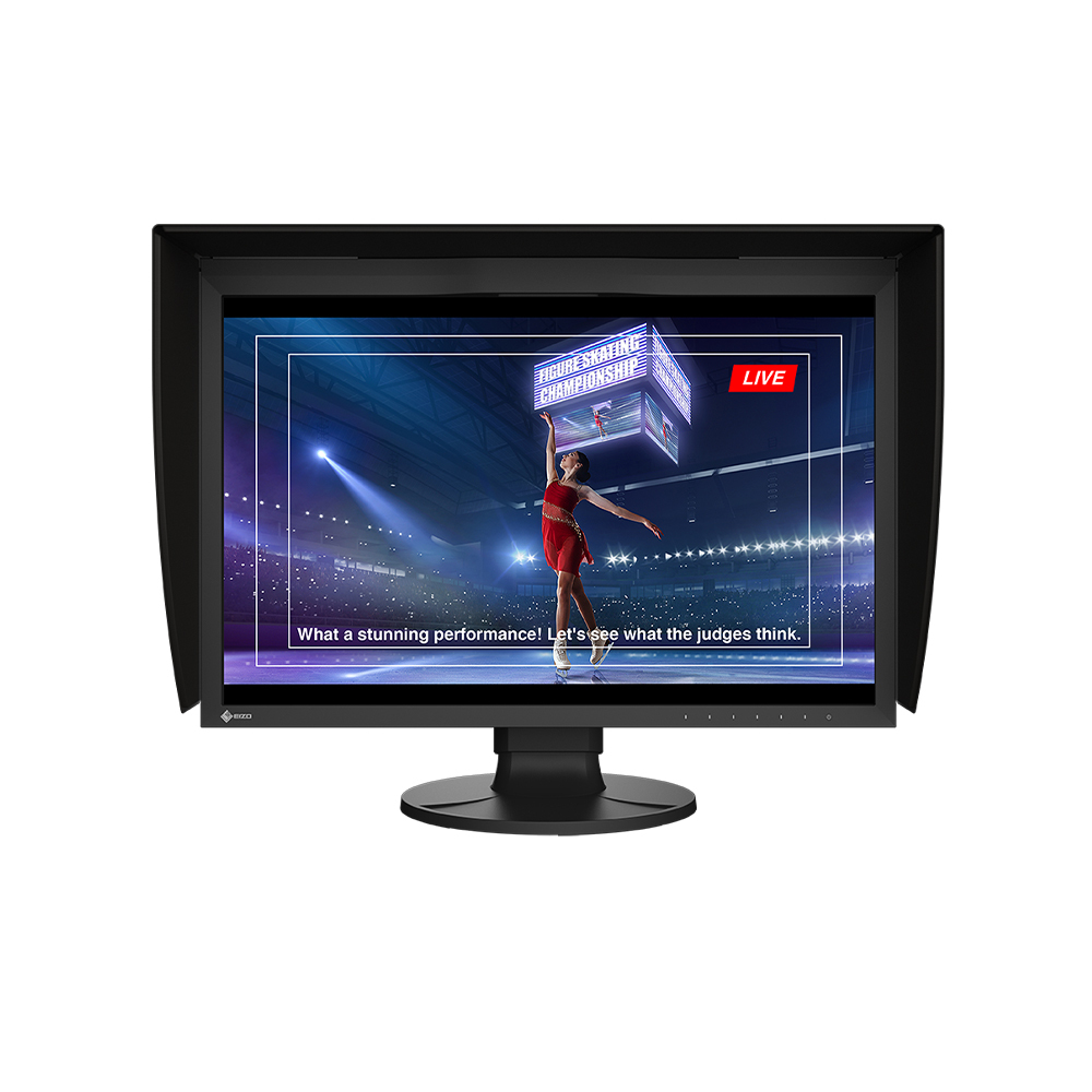 EIZO Color Edge CG2400SV Computer Monitor