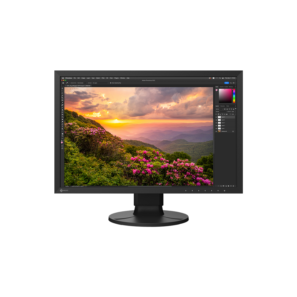 EIZO CS2400S Computer Monitor