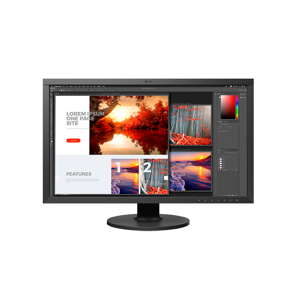 EIZO CS2740 Computer Monitor