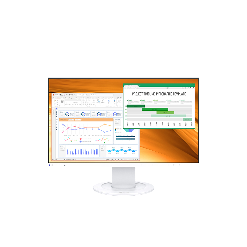 Computer Monitors