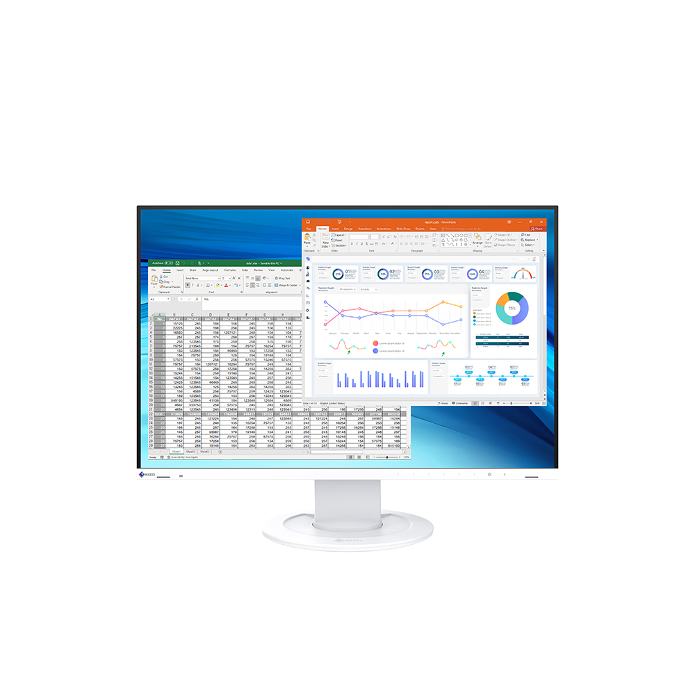 EIZO Flex Scan EV2410R Computer Monitor