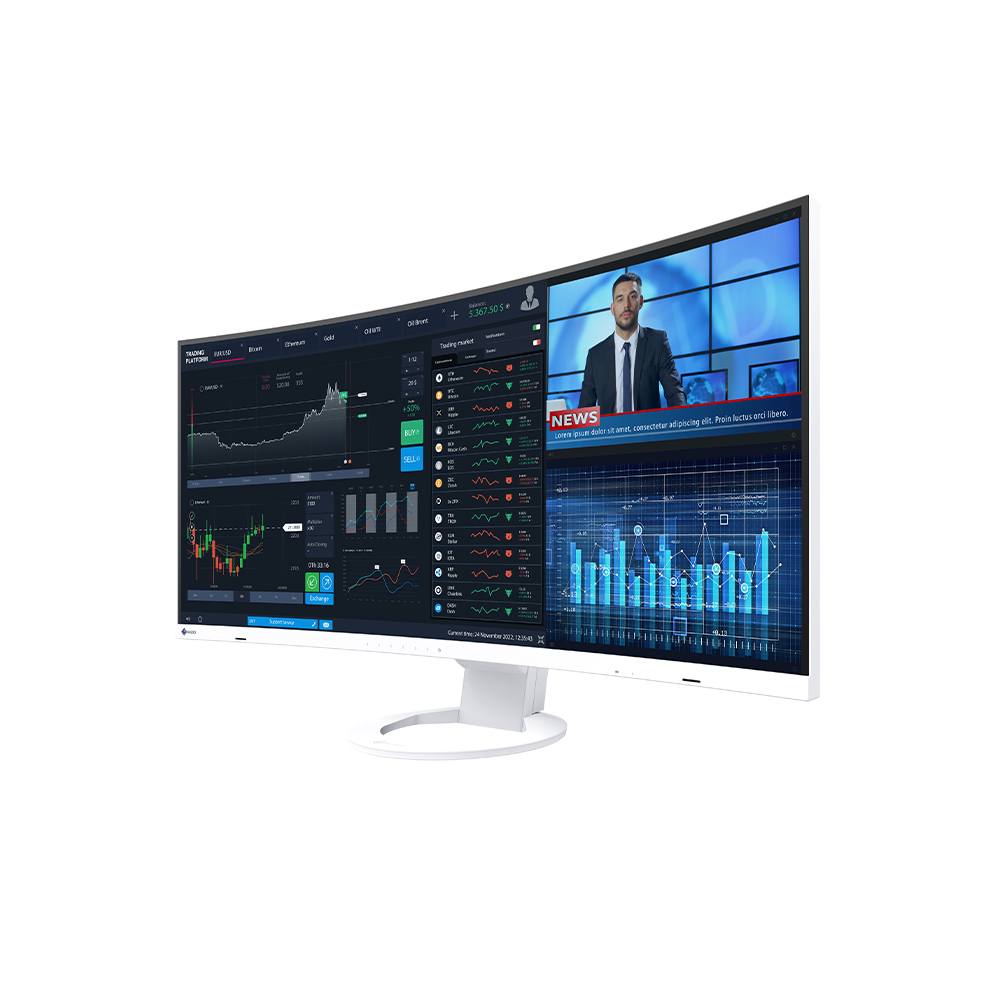EIZO Flex Scan EV3895 Computer Monitor