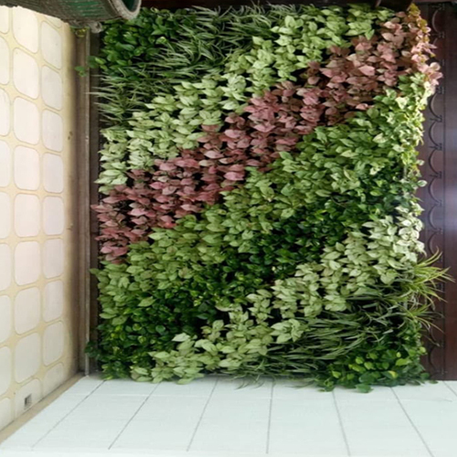 Vertical Gardening