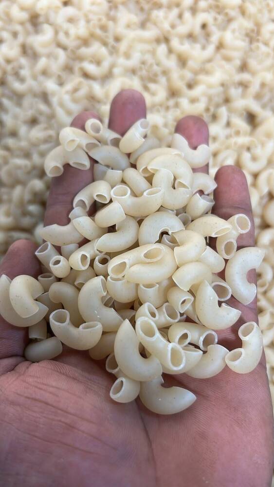 Macaroni Pasta