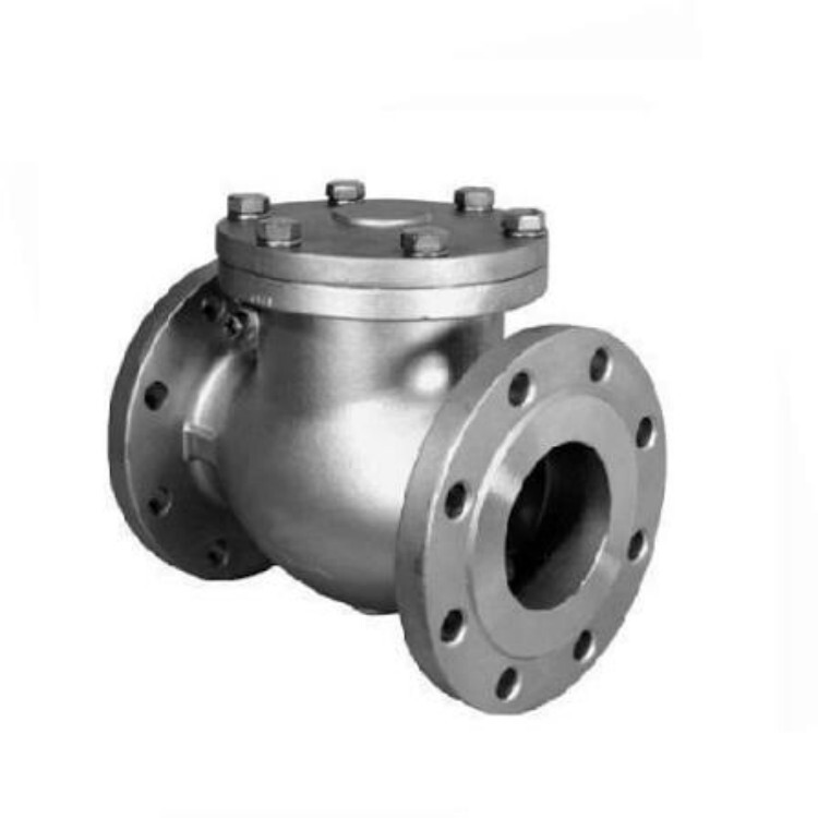 Cs Swing Check Valve - Color: Silver