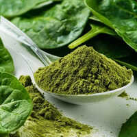 Spinach Palak Powder