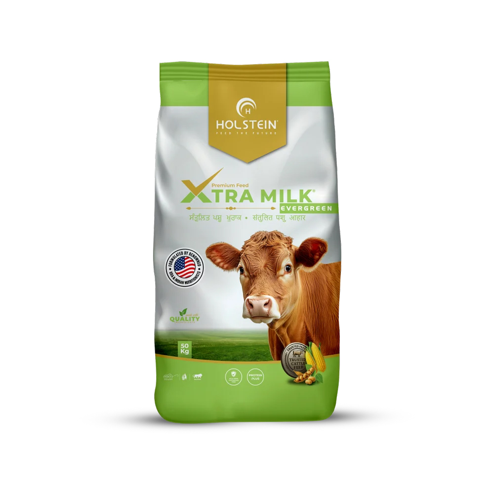 Holstein Xtra Milk Evergreen 50 Kg Premium Dairy Cattle Feed