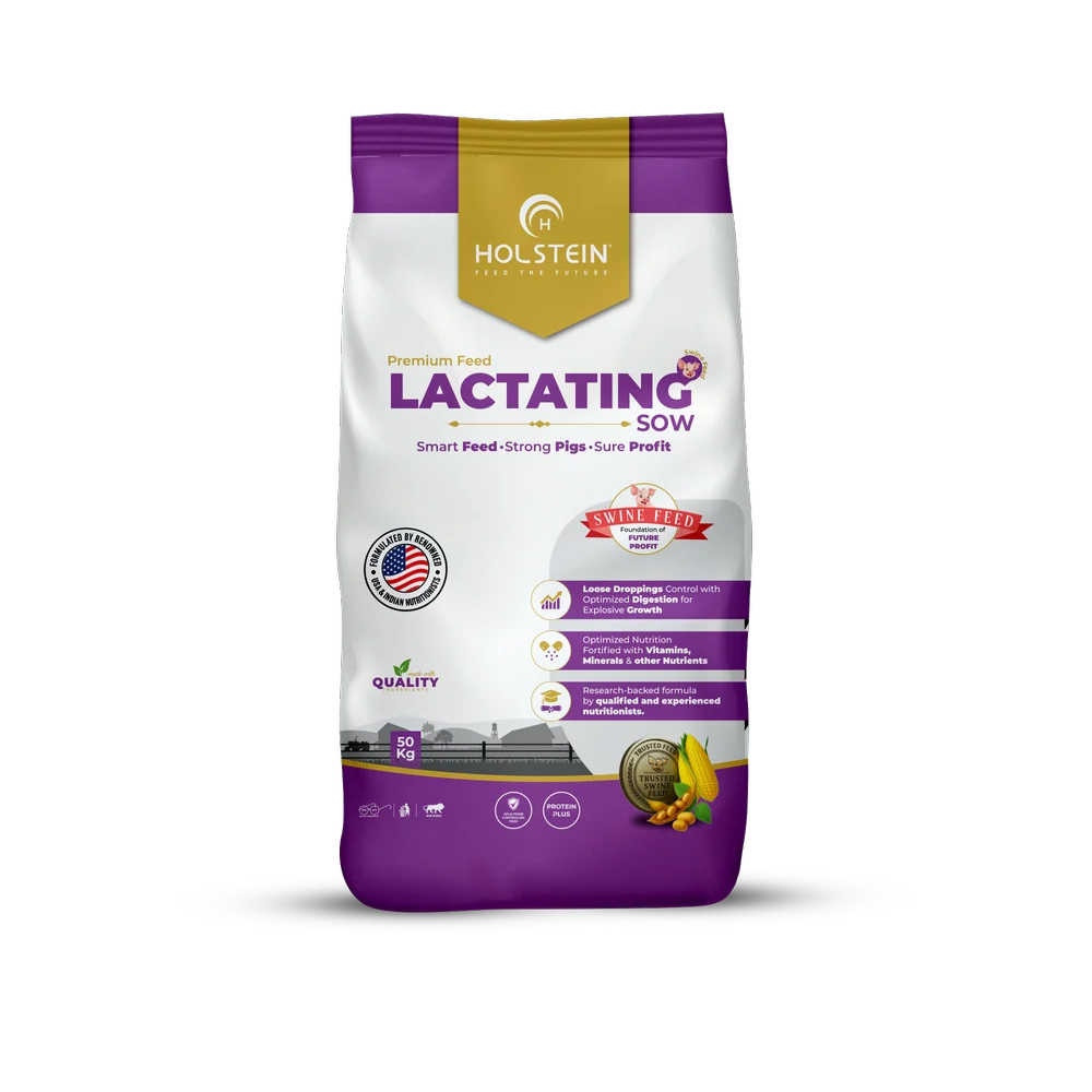Holstein Swine Lactation Feed Energy-Dense Lactating Sow Feed for Maximum Milk Production
