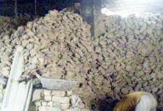 मिट्टी अत्तर