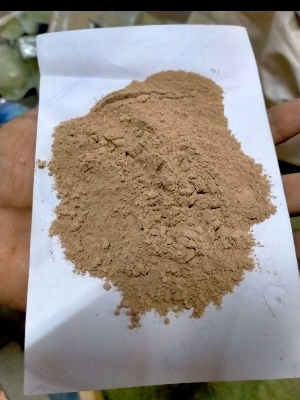 Bacopa Extract