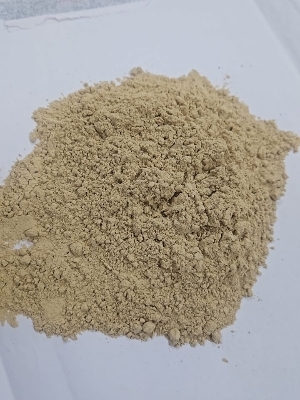 Bamboo Extract - Product Type: Botanical Product