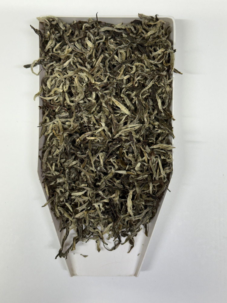 Himalayan Forest White Tea