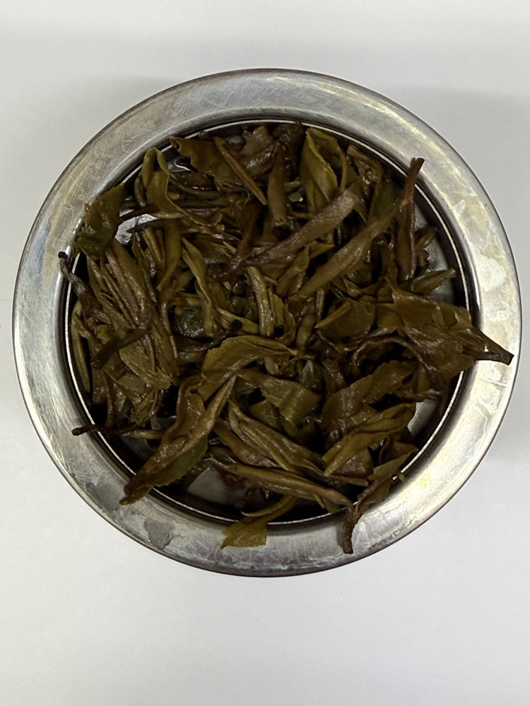 Himalayan Forest White Tea