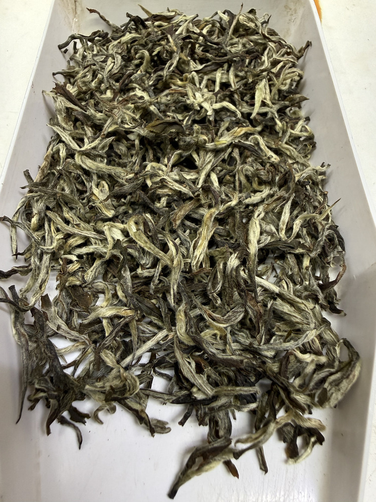 Himalayan Forest White Tea