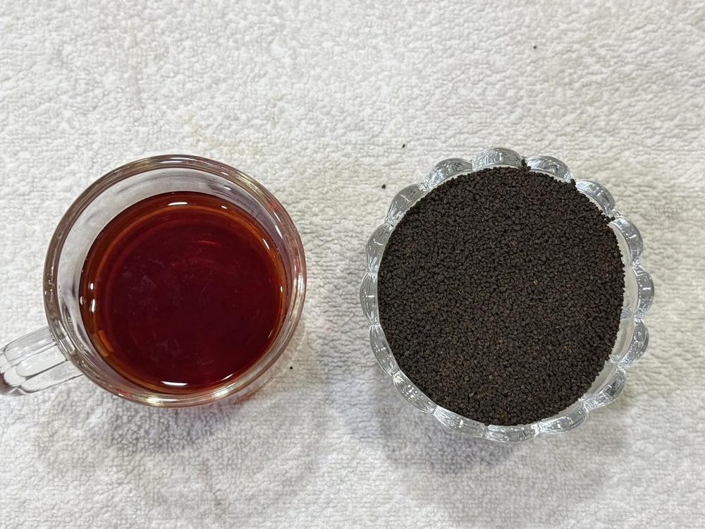 Kabini premium BP