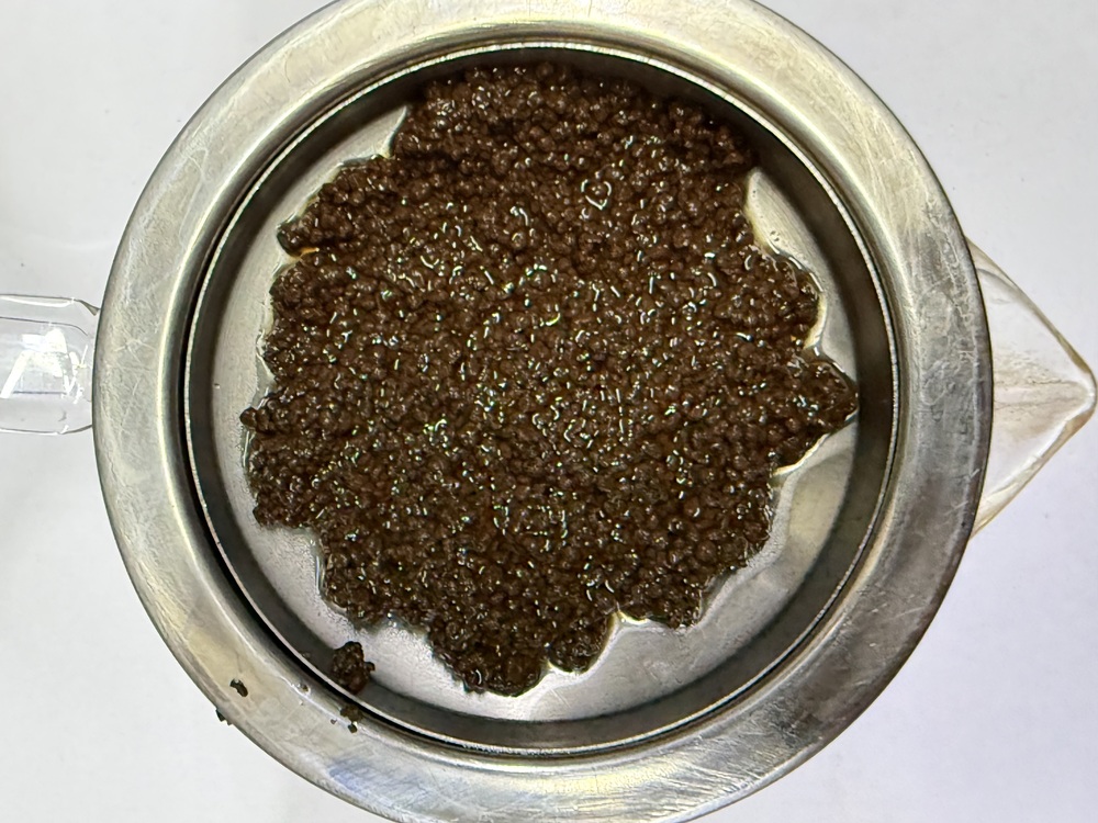 Kabini premium BP