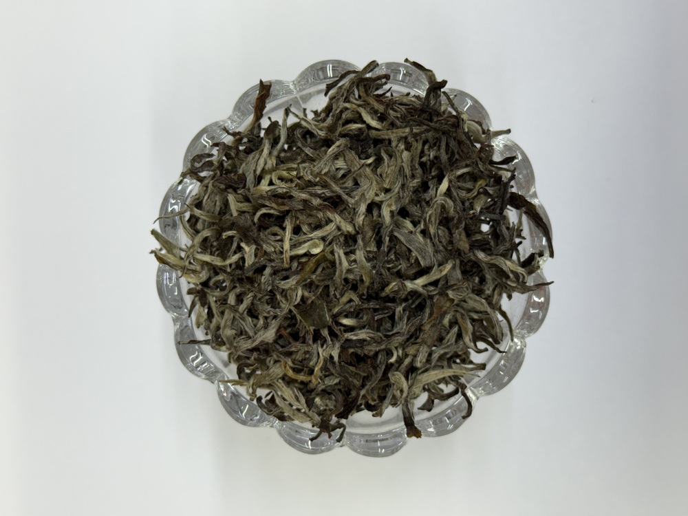 Premium White Tea