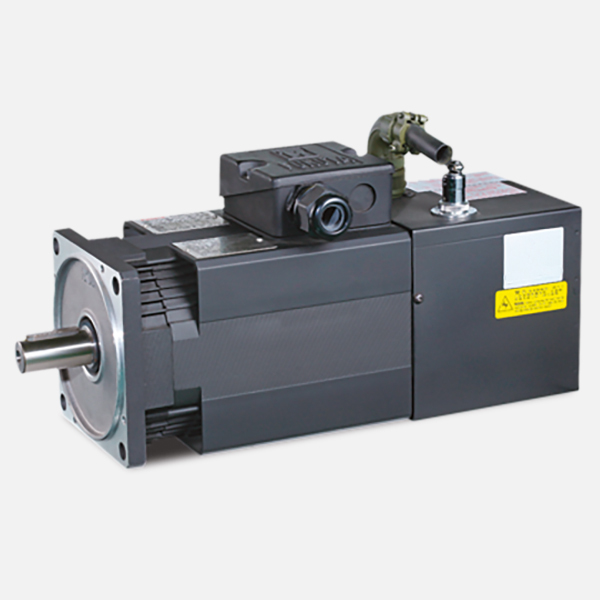High Dynamical Response Servo Motor