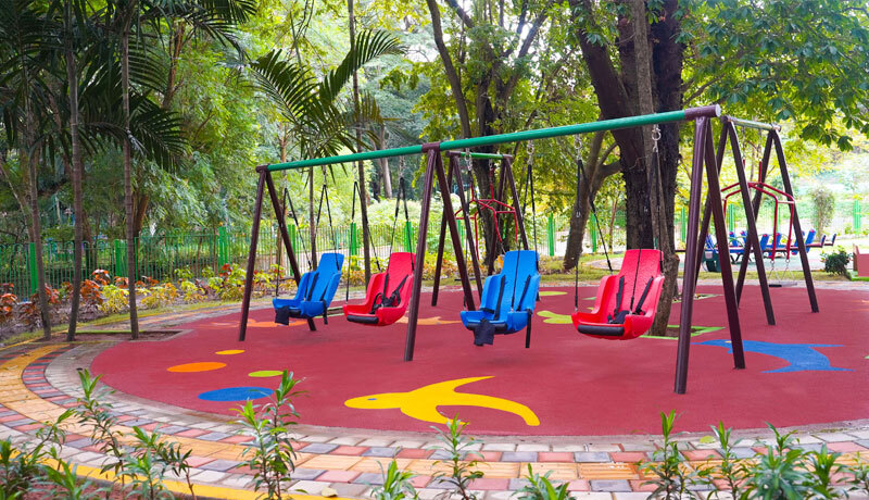 Jungle Gym Equipment