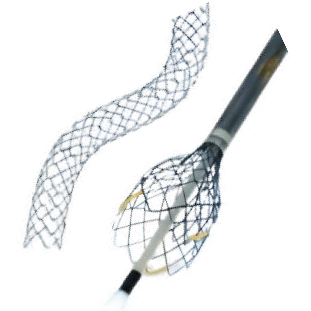 Biliary Stent