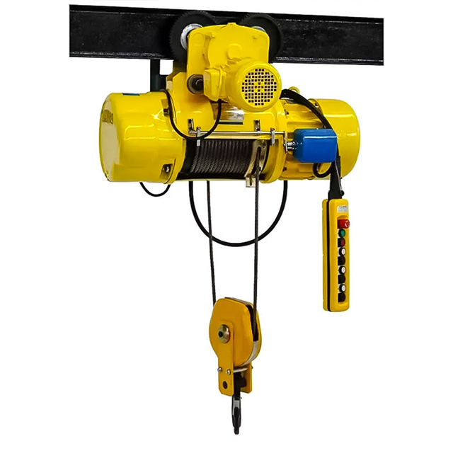 Builder Hoist