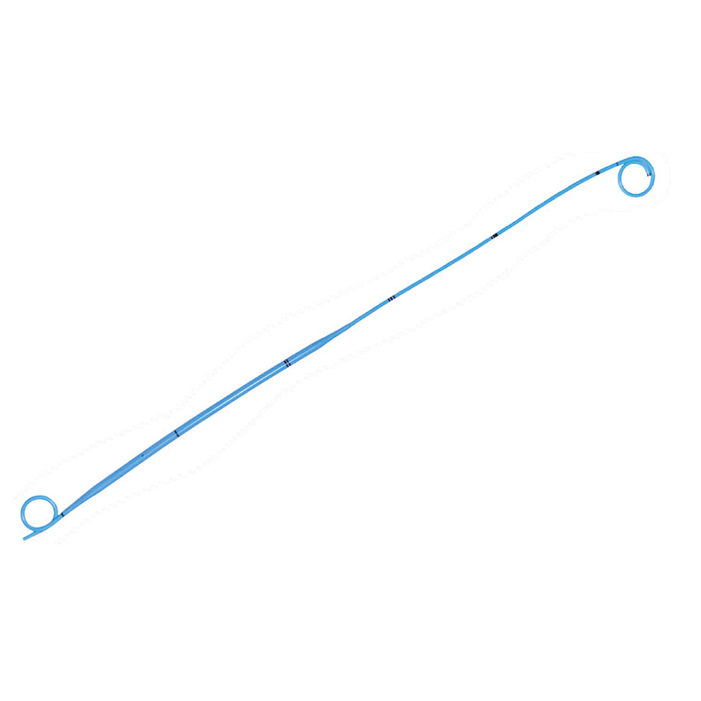 Endopylotommy Stent