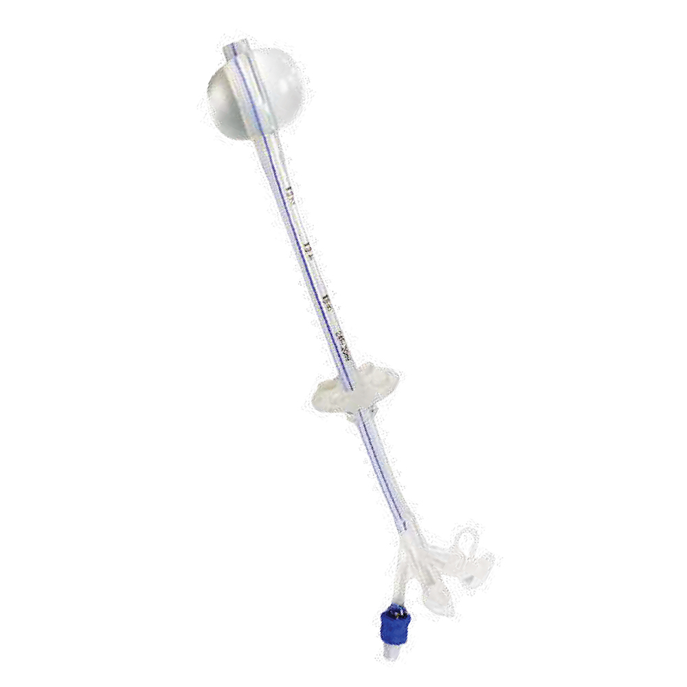 Gastrostomy Feeding Tub