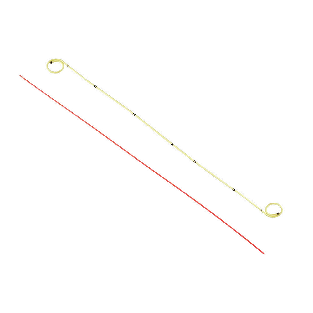 Long Duro Stent