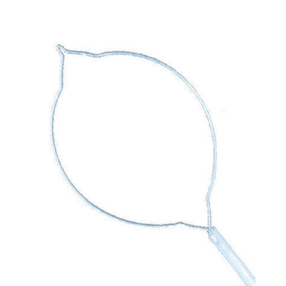 Polypectomy Snares