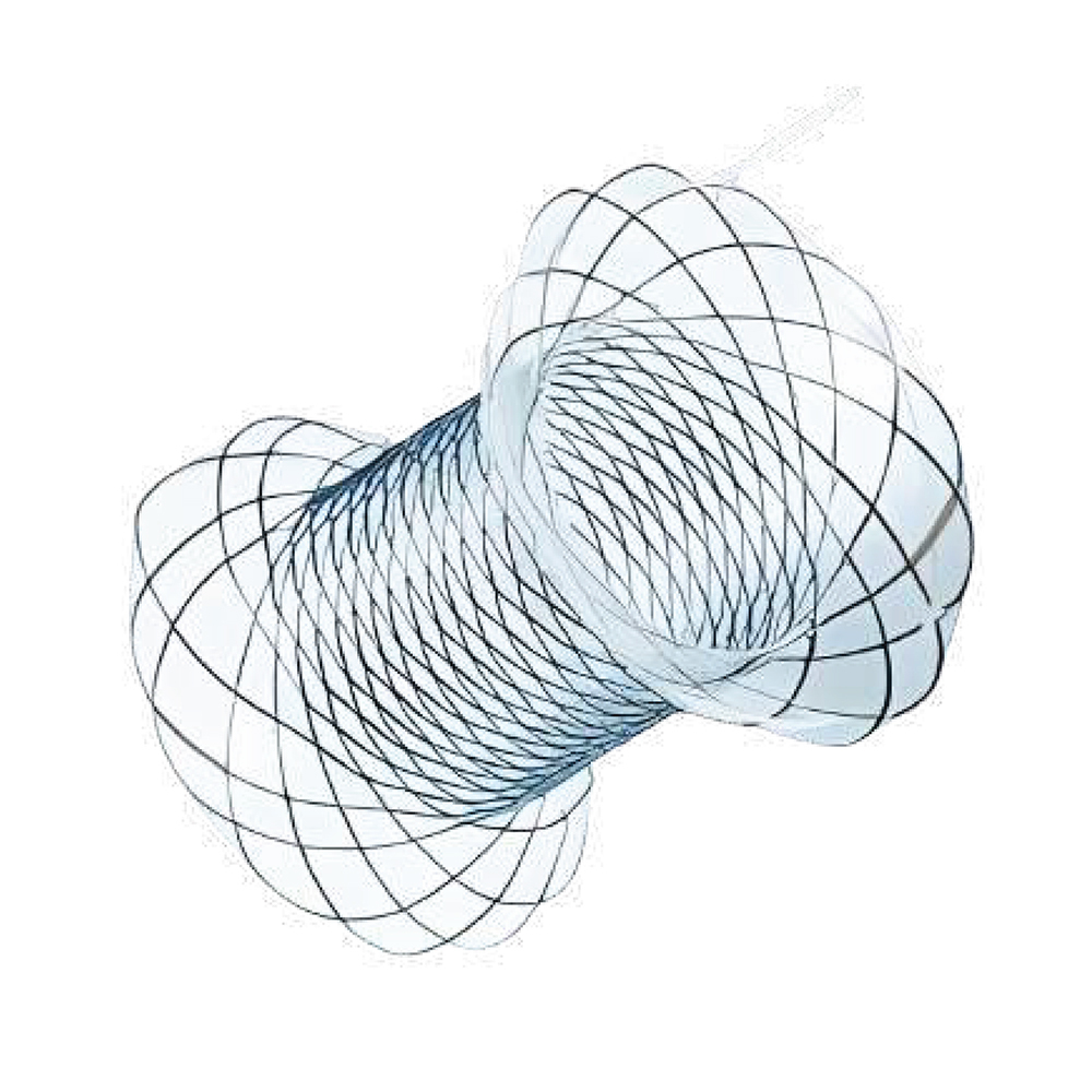 Pseudocyst Stent