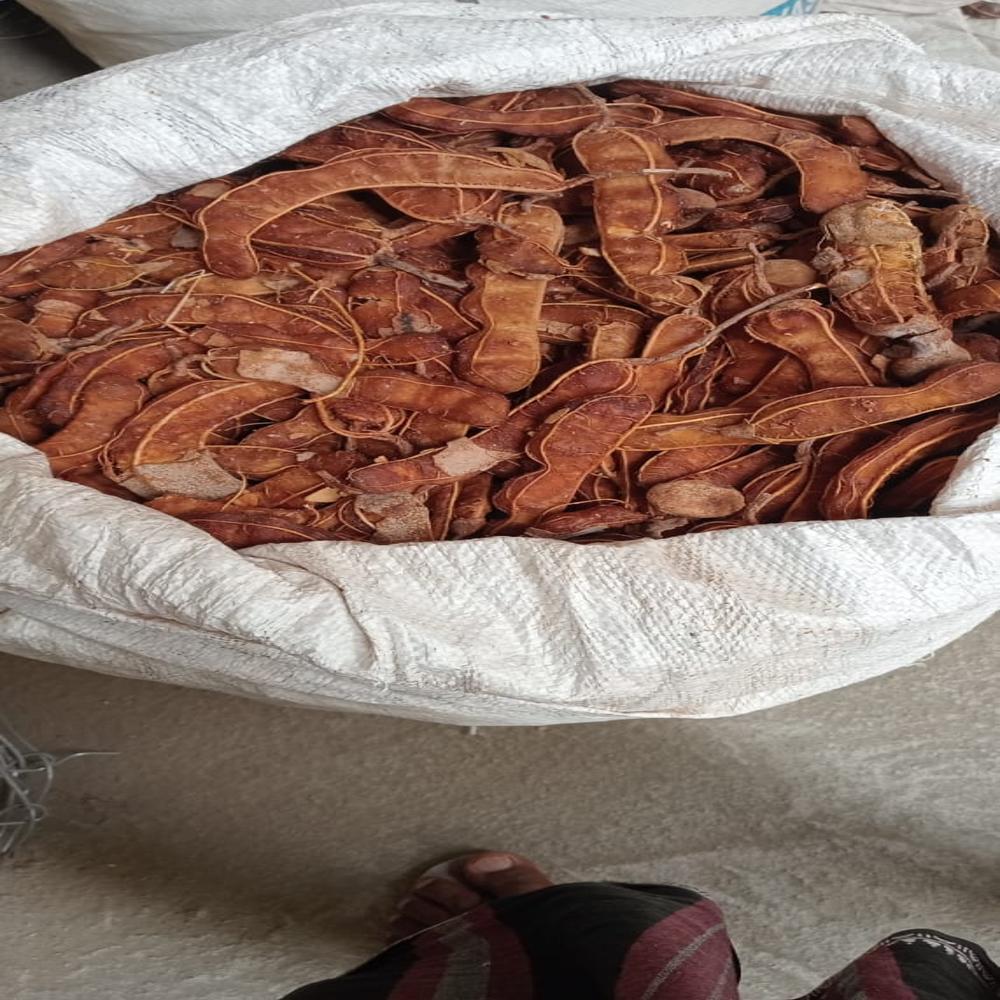 Tamarind with seed & Without seeds