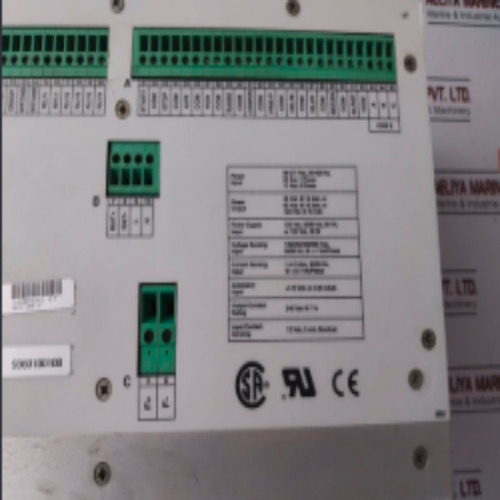 BASLER-AVR-DECS200-1C