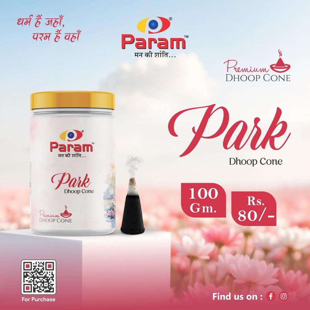 Park Premium Dhoop Cone - Color: Black