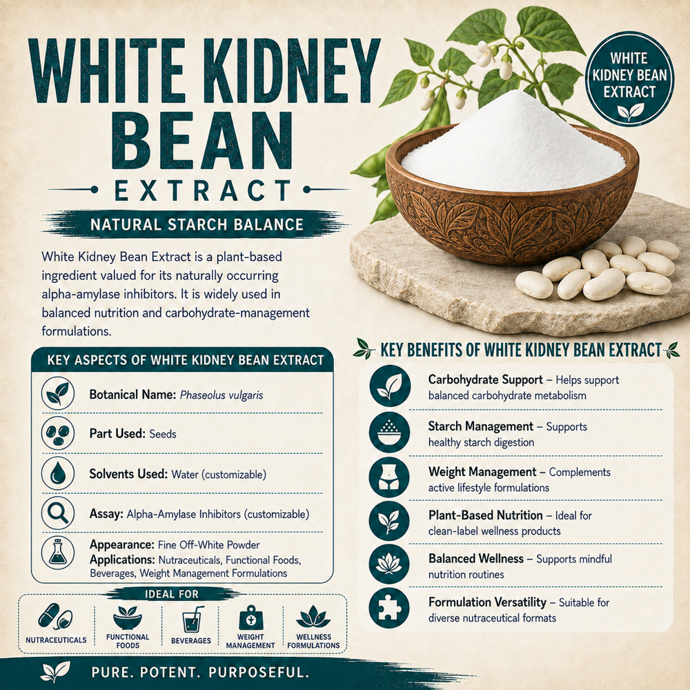 Premium White Bean Extract (Phaseolus Vulgaris) Alpha Amylase Inhibitor Botanical Extract - Color: Off-White To Light Beige Powder