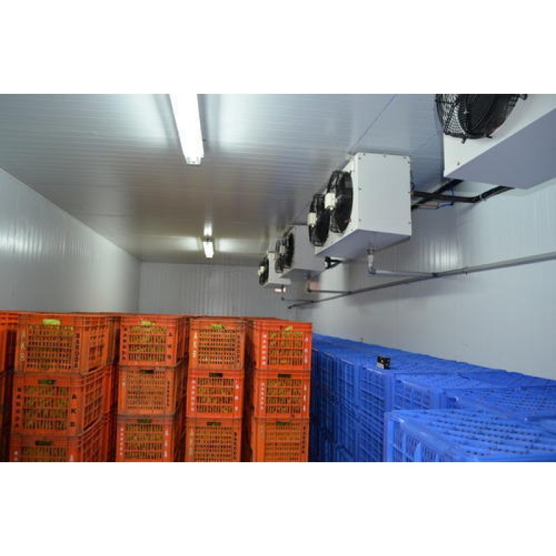 Ripening Chamber - Capacity: 3 Tons/Year