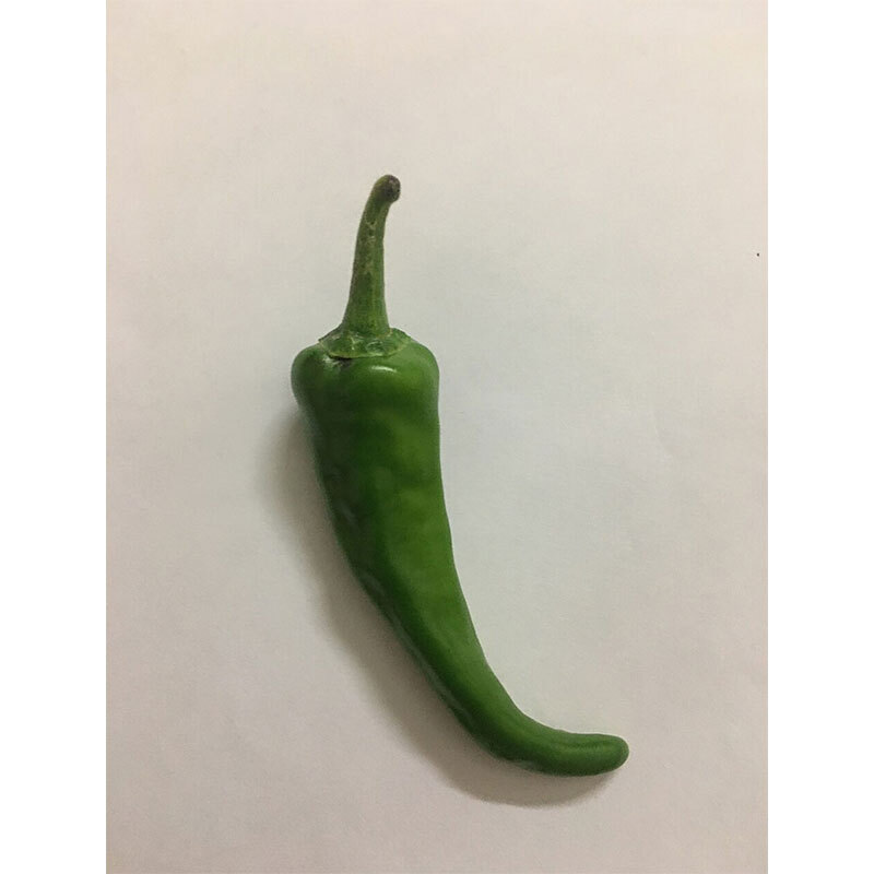 GREEN CHILLI