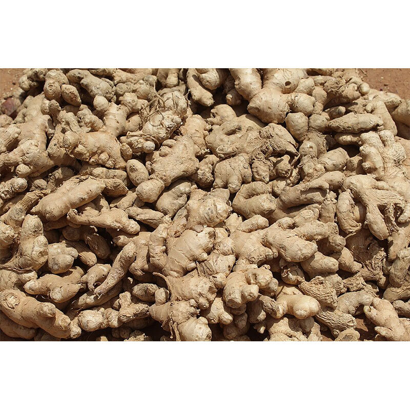 Fresh Ginger