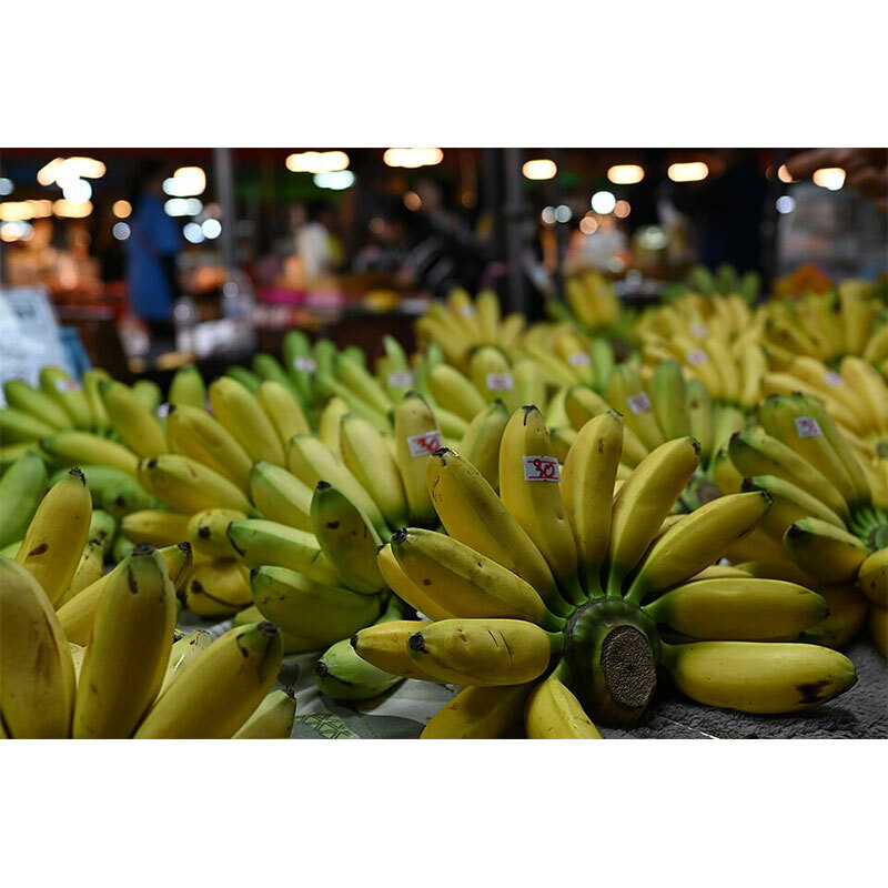 BANANA FRUITS FROM ANDHRAPRADESH