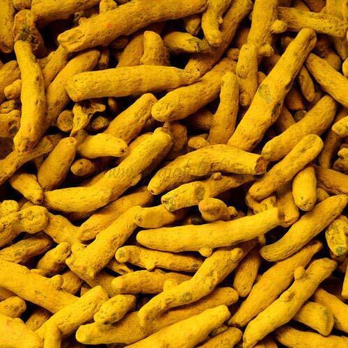 DRY TURMERIC FINGERS