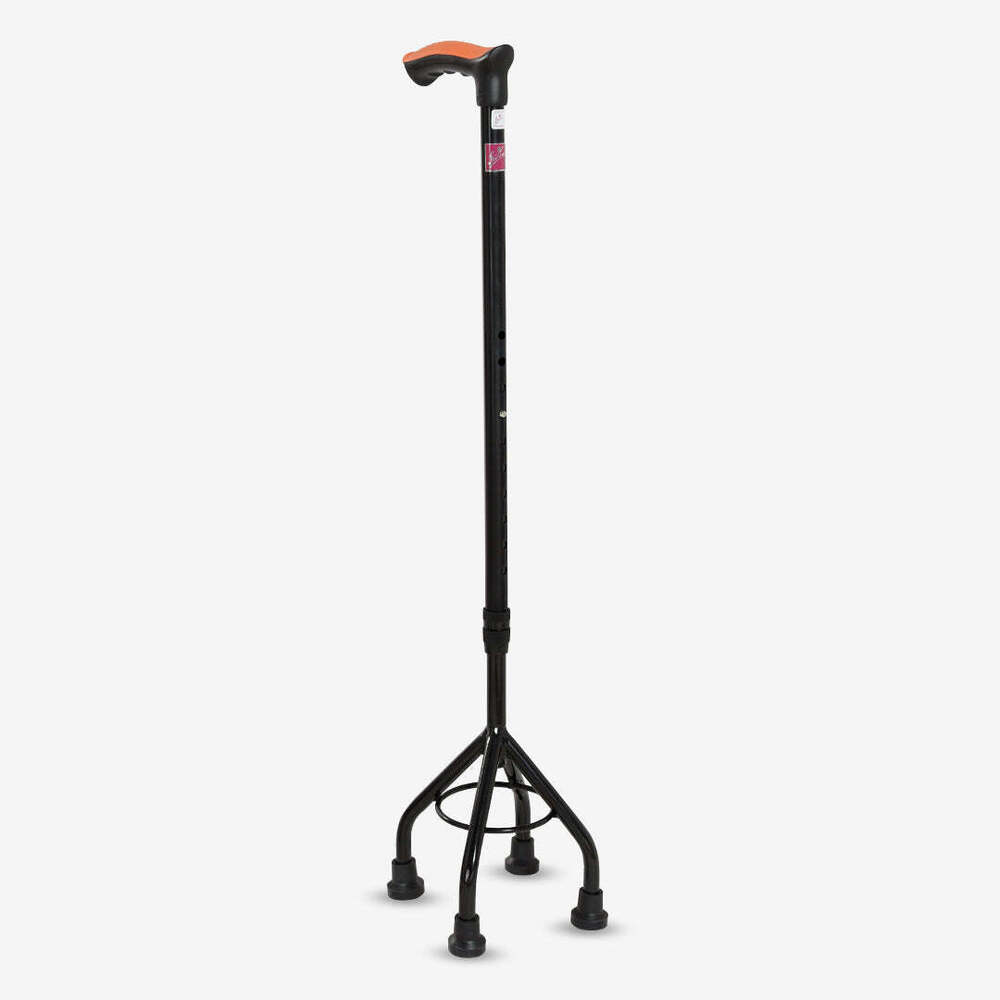 Walking Stick