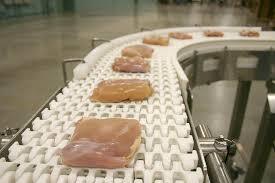 Food Processing Conveyor