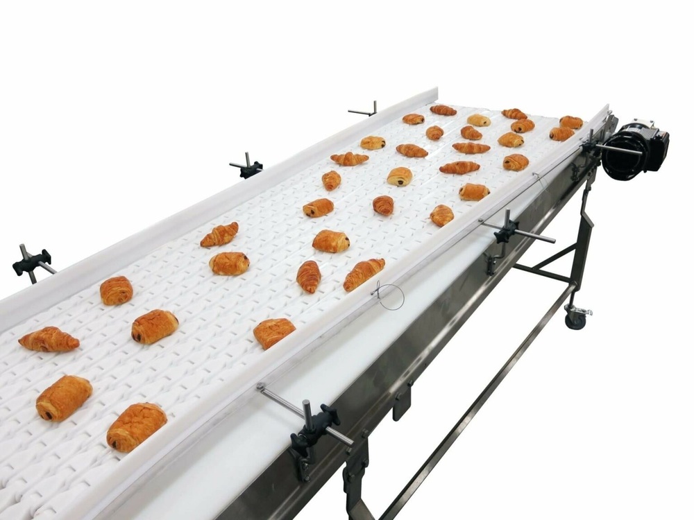 Food Processing Conveyor