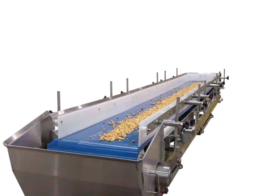 Food Processing Conveyor