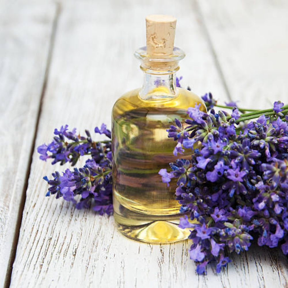 Spike Lavender Oil - Cas No: 8022-15-9